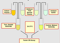 Factor VIII Inhibitor test method